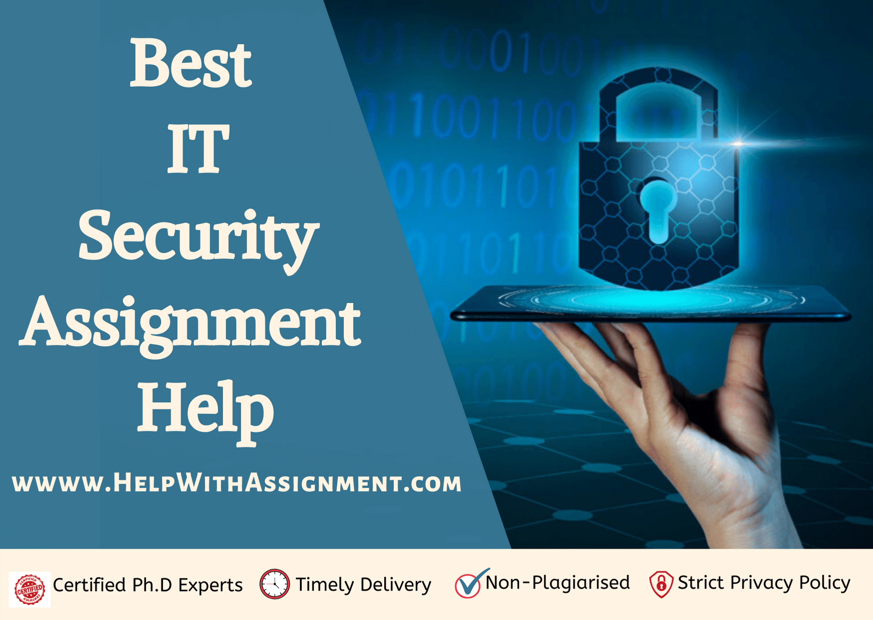 it security assignment